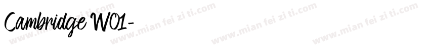 Cambridge W01字体转换